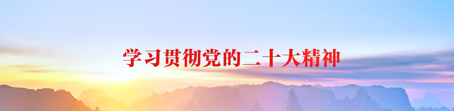 学习贯彻党的二十大精神