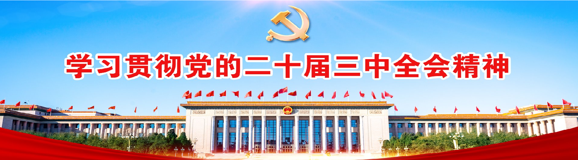学习贯彻党的二十届三中全会精神
